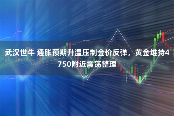 武汉世牛 通胀预期升温压制金价反弹，黄金维持4750附近震荡整理